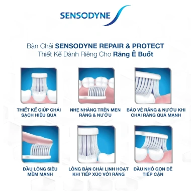 Bộ 4 Bàn chải Sensodyne Protect Extra Soft – Lông mềm, cổ linh hoạt, sạch sâu
