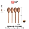 Bộ 4 món ZWILLING Minimale thép không gỉ Rose Gold – Đũa, Muỗng, Nĩa, Dao, giảm còn 394k 12