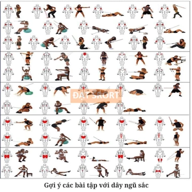 Bộ 5 Dây Ngũ Sắc Cao Cấp Đàn Hồi Kháng Lực - Tập Gym, Fitness, Yoga tại nhà 4 Bộ 5 Dây Ngũ Sắc Cao Cấp Đàn Hồi Kháng Lực - Tập Gym, Fitness, Yoga tại nhà 4