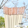 Bộ 5 Đôi Đũa Sợi Thủy Tinh Ion Bạc Kháng Khuẩn – Phong Cách Nhật Bản Hoa Anh Đào Màu Hổ Phách Cao Cấp – Giá 90.000₫ 10