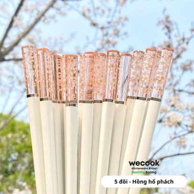 Bộ 5 Đôi Đũa Sợi Thủy Tinh Ion Bạc Kháng Khuẩn – Phong Cách Nhật Bản Hoa Anh Đào Màu Hổ Phách Cao Cấp – Giá 90.000₫
