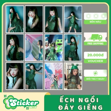 Bộ 50 hình dán ếch ngồi đáy giếng Phương Mỹ - Trang trí vở, bảo hiểm, 19.000đ
