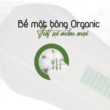 Bộ 6 Băng Vệ Sinh Yeonchi Organic 35cm Siêu Mỏng Cánh Rộng 16cm An Tâm Ngủ Ban Đêm 2