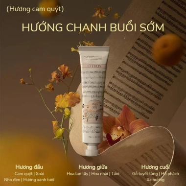 Bộ 6 hương Roopy Kem tay tinh dầu thực vật 75g - hương ba tầng hoa quả dưỡng ẩm cấp nước, Roopy x Butterbear 6