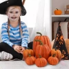 Bộ 7 Pumpkin giả Halloween - Trang trí tiệc cưới, nhà bếp, lễ hội, giá 145.200₫ 6