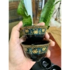 Bộ Ấm Chén Trà Cối Xay Xanh Đen Vàng 1 ấm 6 chén 1 cối Giá ưu đãi 235.000đ 8