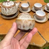 Bộ Ấm Chén Trà Men Hoả Biến Tuyết Nhung Gốm Sứ Bát Tràng Cao Cấp Giá 300.000đ 8