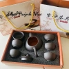 Bộ ấm chén trà sứ 6 chén cao cấp, bình pha trà tứ sạ, hộp đẹp quà biếu, giảm giá 95k