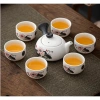 Bộ Ấm Chén Tráng Men Hoa Tuyết Cao Cấp 6 Chén - Vân Hoa Tuyết Mới Giá 45.077 VND
