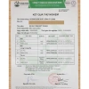 Bộ ấm chén vẽ vàng kim 24k phú quý: Gốm sứ Bát Tràng chính hãng, giá 690.000 VND 9