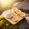Bộ ấm trà Kung Fu hồng nhúm hoa độc đắc – ấm, 4 cốc và khay, giá ưu đãi 115.000