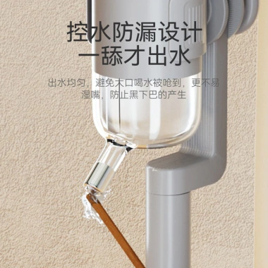 Bộ ăn uống 2 trong 1 cho mèo - Chống viêm cằm, ướt ria, treo lồng hoặc để sàn, inox, đế hút - Giá ưu đãi 698.985 VND