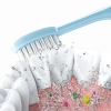 Bộ bàn chải đánh răng du lịch BENJMOORE 3 trong 1 gập, hộp kem di động cắm trại 8