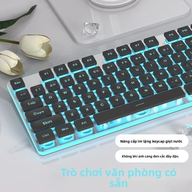 Bộ bàn phím Bluetooth không dây và chuột không dây, im lặng, nhẹ, cho PC và laptop - Giá 383.081 VND