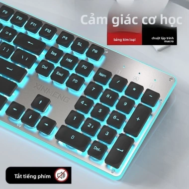 Bộ bàn phím Bluetooth không dây và chuột không dây, im lặng, nhẹ, cho PC và laptop - Giá 383.081 VND