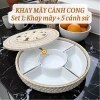 Bộ bát cúng gia tiên gốm sứ Bát Tràng cánh cong Đĩa thờ cúng, thắp hương 460k 8