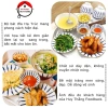 Bộ Bát Đĩa Sứ 12 Cái Họa Tiết Hạ Trúc Giá 365k, Bộ Gia Đình Đầm Ấm Bán Lẻ 6