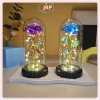 Bộ Bật Sáng Đám Cưới Hoa Hồng LED Acrylic - Quà Tặng Lễ Tình Nhân 79.860₫ 5