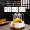 Bộ Bình Pha Trà & Bếp điện 600W – Ấm thủy tinh chịu nhiệt, Bếp hồng ngoại mini giá ưu đãi 359.000₫ 9