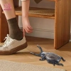 Bọ Cánh Cứng Boot Jack Kim Loại - Tẩy Trang Trí Giày Bốt, Giày Công Sở, Giày Cricket cho Người Cao Tuổi, Giá 264.600₫ 4
