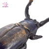 Bọ Cánh Cứng Boot Jack Kim Loại - Tẩy Trang Trí Giày Bốt, Giày Công Sở, Giày Cricket cho Người Cao Tuổi, Giá 264.600₫ 7