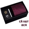 Bộ Cavat Nam cao cấp - Quà tặng thầy giáo, sếp, đồng nghiệp, công sở - 184.900₫