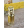 Bộ chai lọ hủ thủy tinh cao cấp Thỏ Lab 40ml đựng serum, kem dưỡng xi mạ, giá ưu đãi 12.580₫ 7