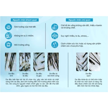Bộ chăm sóc da đầu 4 bước Kochi Nhật Bản - Loại bỏ gàu, ngăn rụng tóc, không khô tóc 300/600ml, giảm giá 194.250đ 7