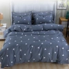 Bộ Chăn Ga Gối Poly 5 Món Vỏ Chăn Đẹp Mịn Loại 1 - Giảm còn 68.999 VND 9