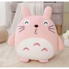 Bộ chăn gối văn phòng đa năng Totoro hình thú tròn - Giá ưu đãi 139k (Giá gốc 170.970₫) 9