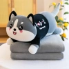 Bộ chăn gối văn phòng gấu bông có mền, tiện cho bé đi học và du lịch - 128.000đ 7
