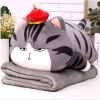 Bộ chăn gối văn phòng hình thú, chăn gấu bông, mền kèm gối bé học du lịch 115.000 VND 9