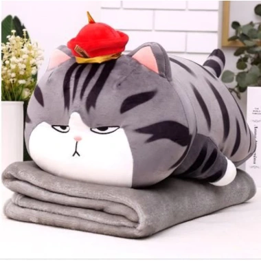 Bộ chăn gối văn phòng hình thú, chăn gấu bông, mền kèm gối bé học du lịch 115.000 VND 9
