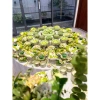Bộ chén bát thìa gốm sứ cổ họa tiết hoa sen - Giá chỉ 25.500 VNĐ, giảm mạnh 5