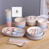 Bộ Chén Dĩa Bát Lúa Mạch Màu Sắc Tươi Mới - An Toàn Cho Bé Ăn Dặm 5.000₫ Home.CH
