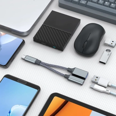 Bộ Chuyển Đổi USB-C OTG PD10W 2 Trong 1 cho Laptop - Sạc nhanh, giá 93.830 VND