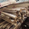 Bó Cọc Gỗ 20 Thanh Keo Tròn 30mm*130cm - Giàn Leo Cây, Deco Thôn Quê, Giá chỉ 90.000₫ 3