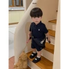 Bộ Cộc Polo Dry Nhanh Thêu Thỏ Obebi - Thời Trang Hè cho Bé Trai & Bé Gái 8-22kg 2