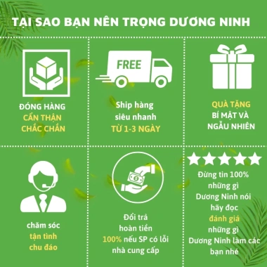 Bộ dao thiến heo, dao y tế Dương Ninh 23/11 kèm 10 lưỡi DM08 - Giá 34,500₫