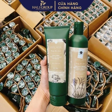 Bộ Dầu Gội Gừng Hà Thủ Ô Weilaiya 400ml + 250ml - Giảm giá 560k, Dưỡng tóc khỏe 4 Bộ Dầu Gội Gừng Hà Thủ Ô Weilaiya 400ml + 250ml - Giảm giá 560k, Dưỡng tóc khỏe 4