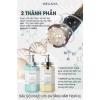 Bộ Dầu Gội Xả Nấm Truffle Weilaiya – Giảm Gàu, Bết Tóc, Phục Hồi Tóc Khô Hư Tổn – 1.079.000₫ 3