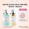Bộ Dầu Gội Xả Nấm Truffle Weilaiya – Giảm Gàu, Bết Tóc, Phục Hồi Tóc Khô Hư Tổn – 1.079.000₫ 10