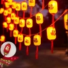 Bộ đèn LED RHPOA CNY Trang trí Tết Nguyên Đán – Chiếu sáng lễ hội sáng rực, tiết kiệm điện, giảm giá 22% 3