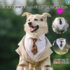 Bộ Đồ Chó Đầm Tuxedo Vàng Kích Thước Lớn - Frayed Edge, dành cho Shepherd, Labrador, Shiba Inu - Đám cưới & tiệc ảnh