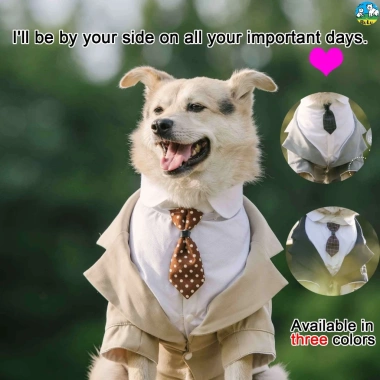 Bộ Đồ Chó Đầm Tuxedo Vàng Kích Thước Lớn - Frayed Edge, dành cho Shepherd, Labrador, Shiba Inu - Đám cưới & tiệc ảnh