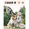 Bộ Đồ Chó Đầm Tuxedo Vàng Kích Thước Lớn - Frayed Edge, dành cho Shepherd, Labrador, Shiba Inu - Đám cưới & tiệc ảnh 3
