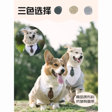 Bộ Đồ Chó Đầm Tuxedo Vàng Kích Thước Lớn - Frayed Edge, dành cho Shepherd, Labrador, Shiba Inu - Đám cưới & tiệc ảnh