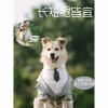 Bộ Đồ Chó Đầm Tuxedo Vàng Kích Thước Lớn - Frayed Edge, dành cho Shepherd, Labrador, Shiba Inu - Đám cưới & tiệc ảnh 5