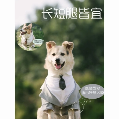 Bộ Đồ Chó Đầm Tuxedo Vàng Kích Thước Lớn - Frayed Edge, dành cho Shepherd, Labrador, Shiba Inu - Đám cưới & tiệc ảnh 5 Bộ Đồ Chó Đầm Tuxedo Vàng Kích Thước Lớn - Frayed Edge, dành cho Shepherd, Labrador, Shiba Inu - Đám cưới & tiệc ảnh 5