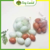 Bộ Đồ Chơi Trứng Vịt Nhựa 10 Quả - Đồ Chơi Nhà Bếp Trẻ Em Giá Ưu Đãi 38.000 VND 6